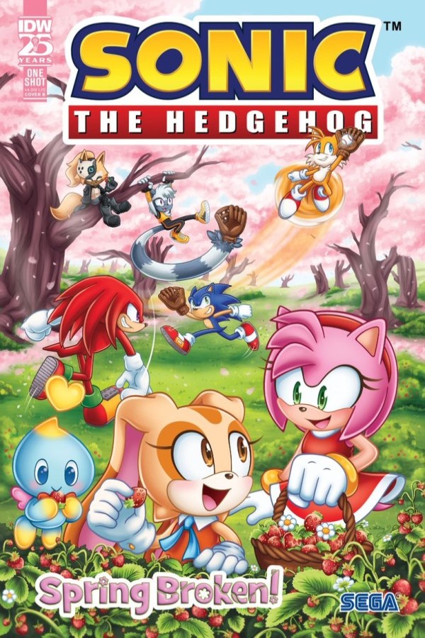 Sonic The Hedgehog Spring Broken