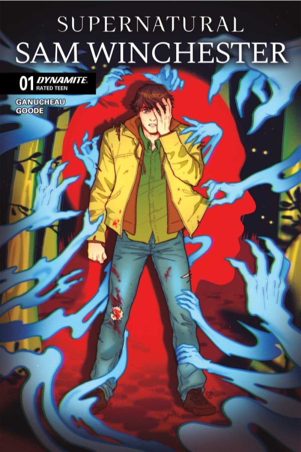 Cover art of Supernatural Sam Winchester